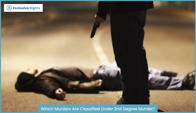 Which Murders Are Classified Under 2nd Degree Murder?