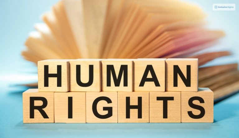 What Are The Types Of Human Rights? - Must Read In 2024