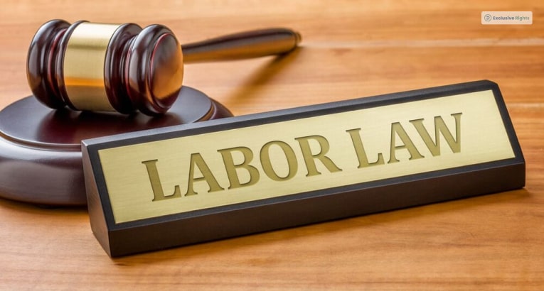 A Comprehensive Guide To Labor Laws In The US