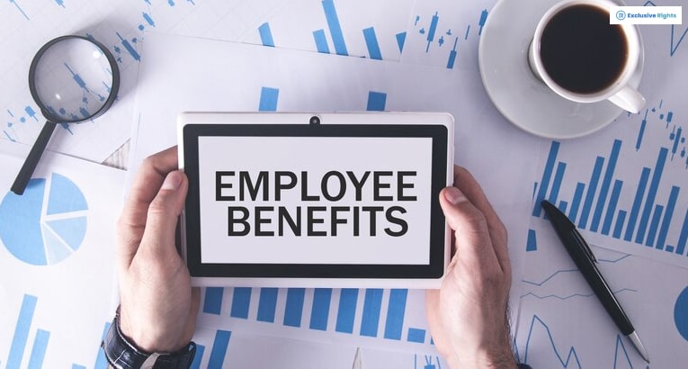 What Are Employee Benefits? What Do They Consist Of?