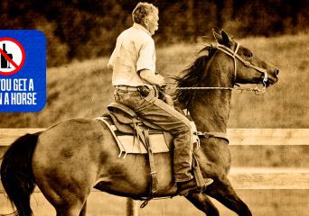 can you get a dui on a horse